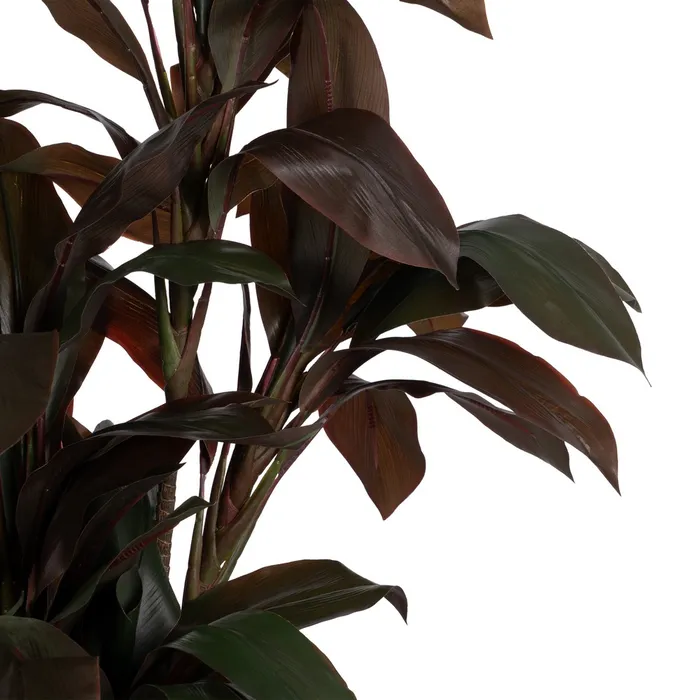 PLANTA POLIETILENO JARDÍN 170 CM