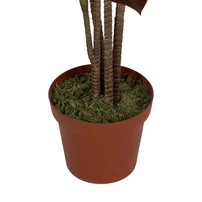 PLANTA POLIETILENO JARDÍN 170 CM
